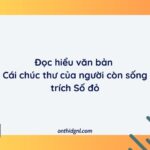 Đọc Hiểu Văn Bản Cái Chúc Thư Của Người Còn Sống