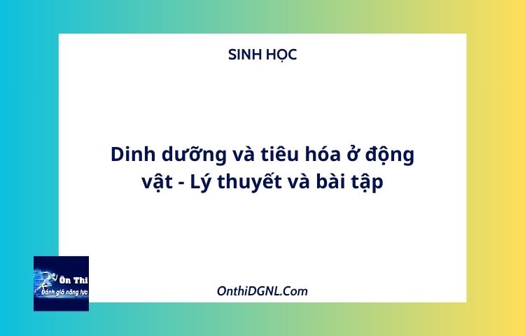 Dinh dưỡng và tiêu hóa ở động vật - Lý thuyết và bài tập
