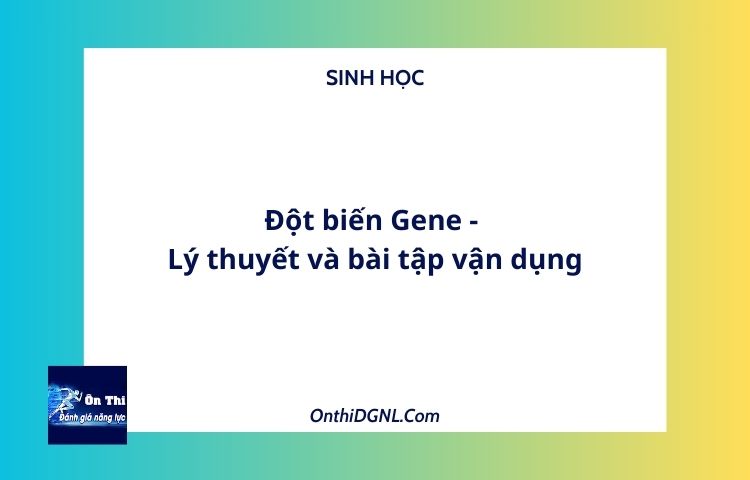 Đột biến Gene - Lý thuyết và bài tập vận dụng