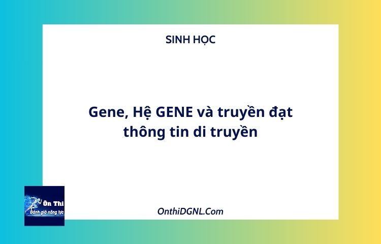 Gene, Hệ GENE và truyền đạt thông tin di truyền