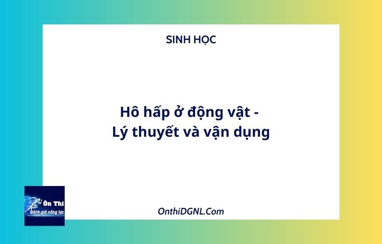 Hô hấp ở động vật - Lý thuyết và vận dụng