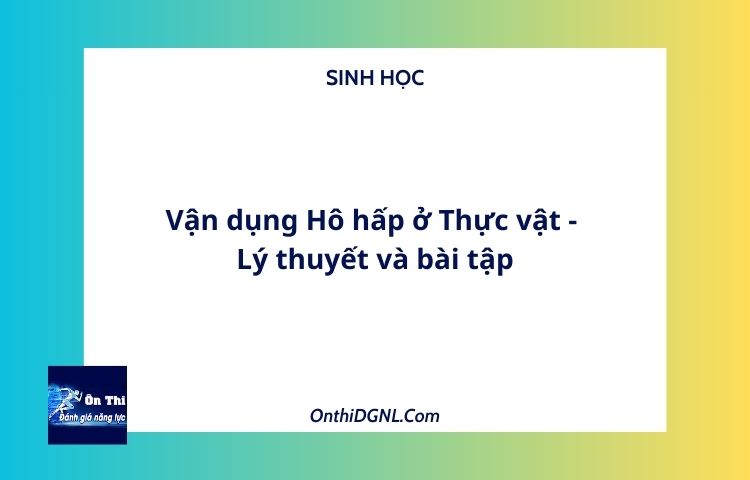 Vận dụng Hô hấp ở Thực vật - Lý thuyết và bài tập