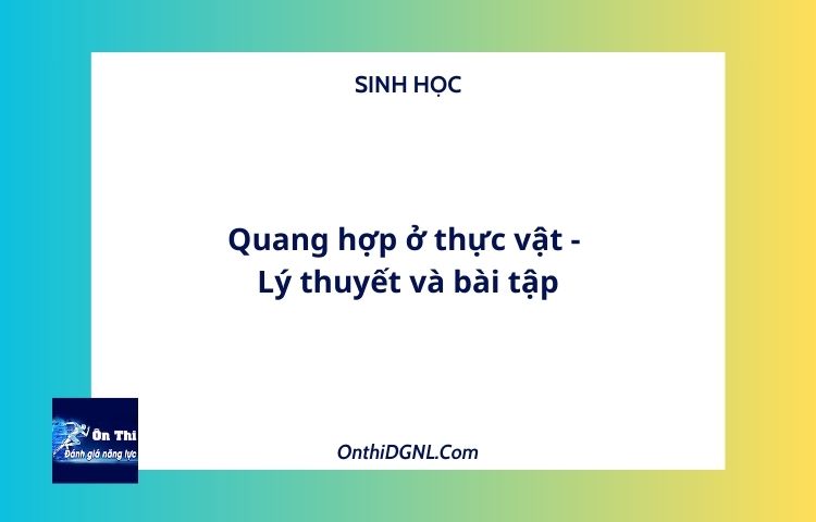 Quang hợp ở thực vật - Lý thuyết và bài tập