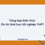 Tổng Hợp Kiến Thức Ôn Thi Sinh Tốt Nghiệp Thpt