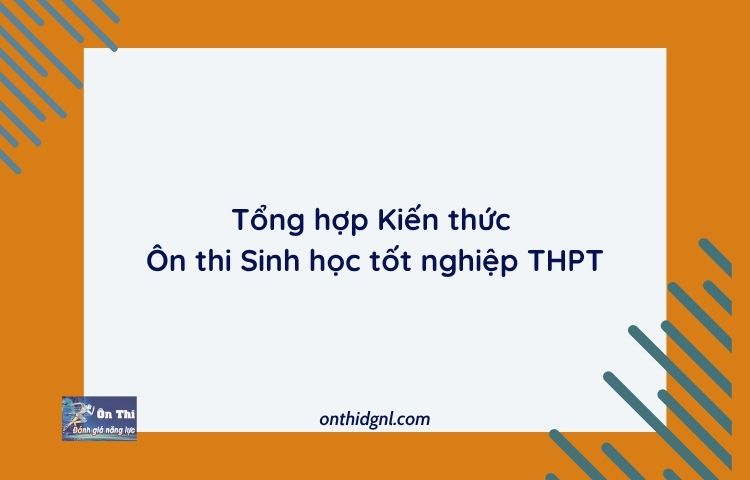 Tổng Hợp Kiến Thức Ôn Thi Sinh Tốt Nghiệp Thpt